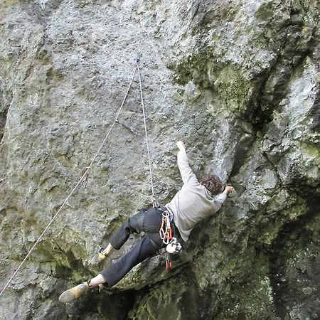 Domaine De La Jordanne - *