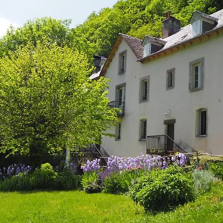 Domaine De La Jordanne - Saint-Cirgues-de-Jordanne