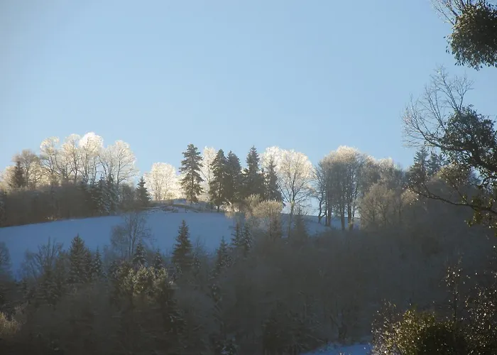 Guest house Domaine De La Jordanne - *